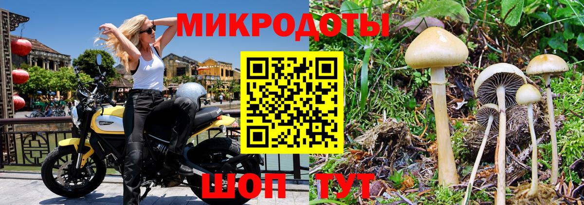 Псилоцибиновые грибы Psilocybe  Вход с VPN  Сафоново 
