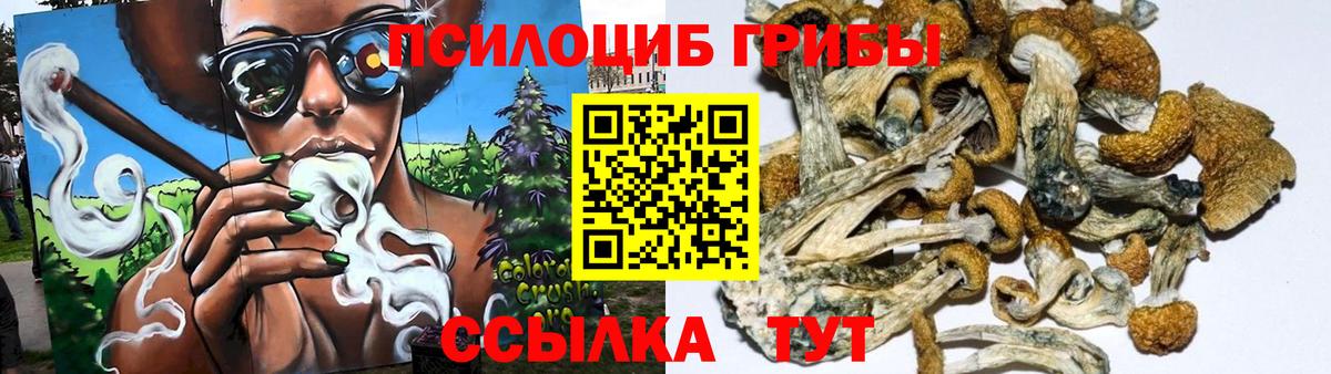 Псилоцибиновые грибы ЛСД Сафоново